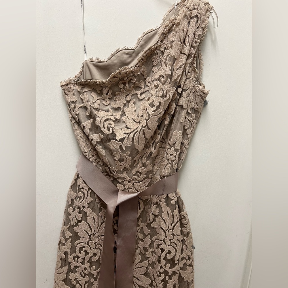 Tadashi Shoji One-Shoulder Lace Gown in Champagne - Picture 3 of 11